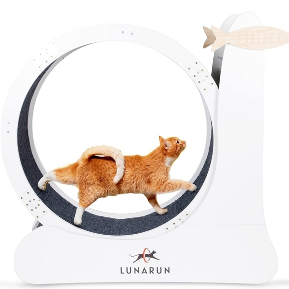 Other - Exerciser for Indoor Cats